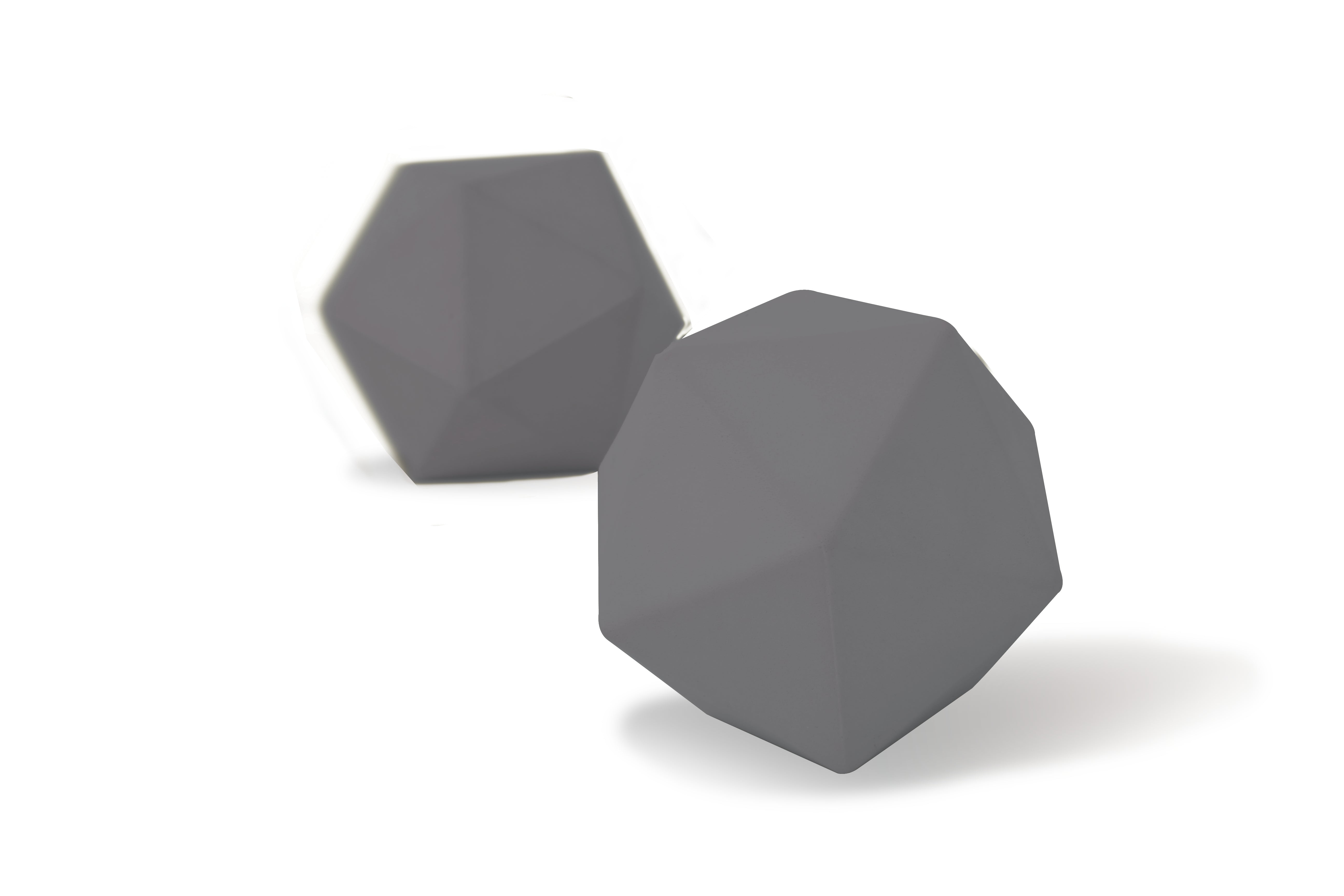 Absorberende Zwembadsponzen (2 stuks)